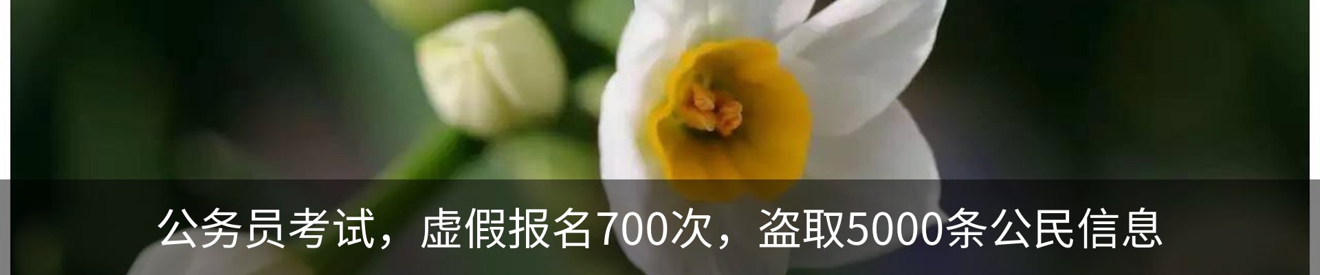 行业资讯