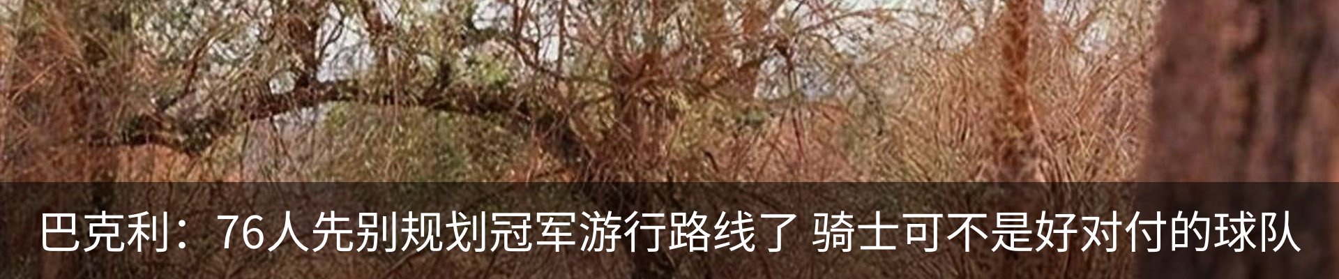 行业资讯